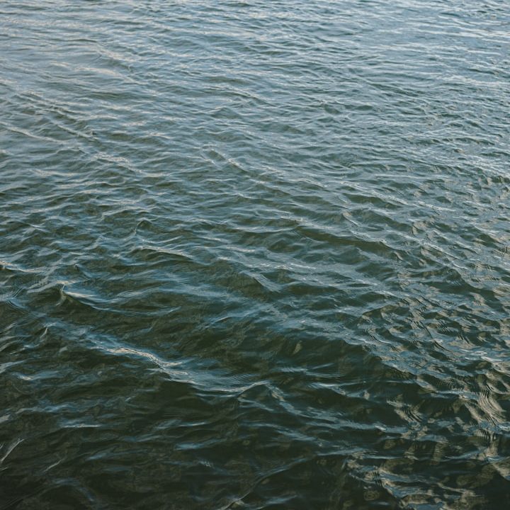 Flussbestattung Koblenz Flussbestattung Koblenz